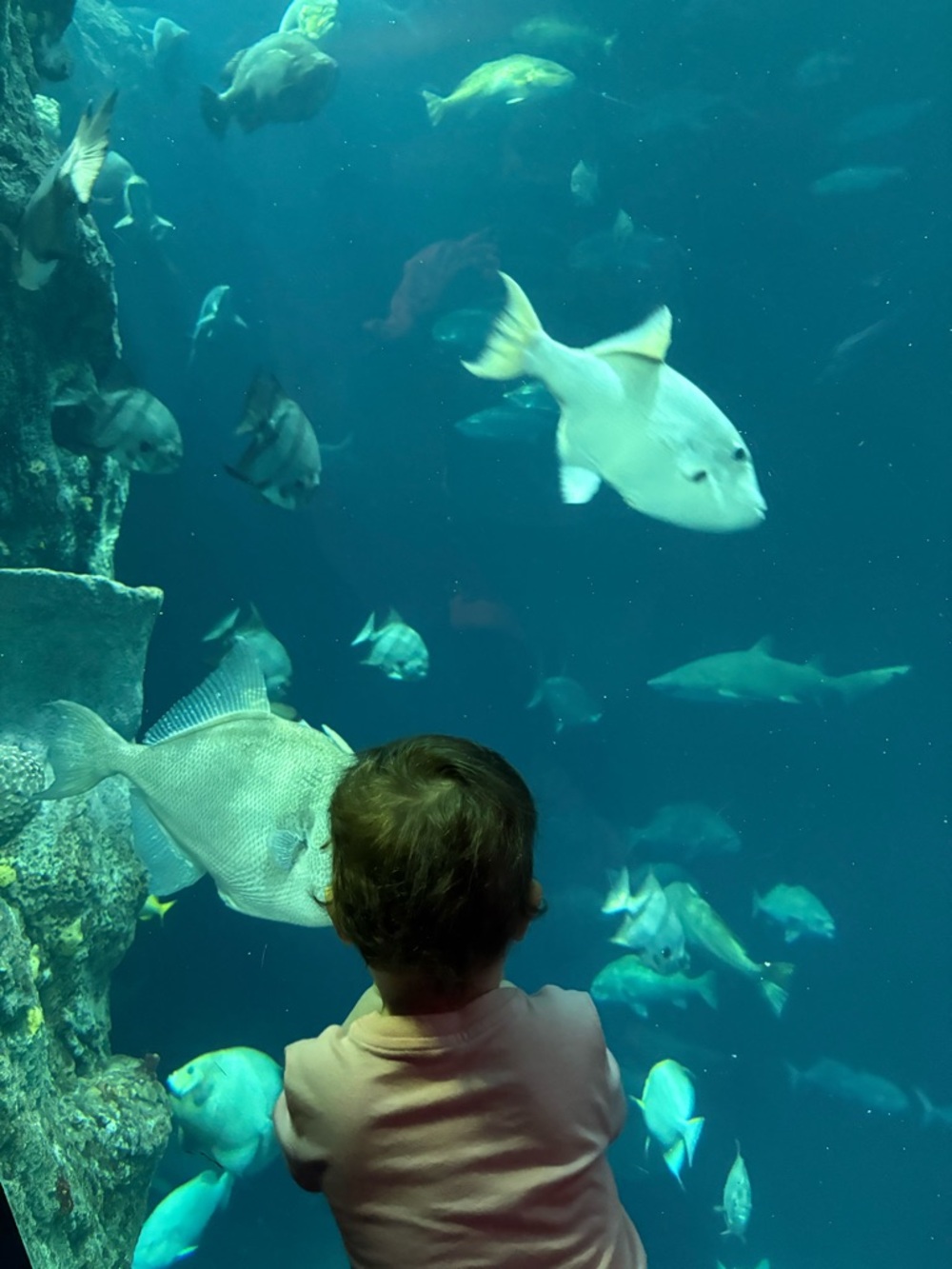 Meet your Posher, Kelsey